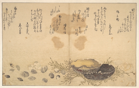 喜多川歌麿: Shells Under Water - メトロポリタン美術館