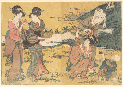 喜多川歌麿: Girls Picking Green Leaves, from the illustrated book Flowers of the Four Seasons - メトロポリタン美術館