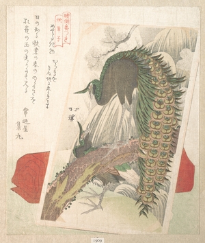 魚屋北渓: Painting of Peacocks, Waterfall and a Red Pillow - メトロポリタン美術館