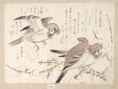 窪俊満: Sparrows and Plum Blossoms - メトロポリタン美術館