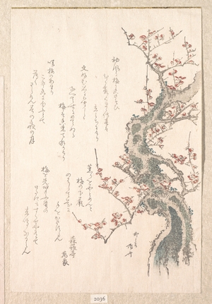 柳々居辰斎: Plum-Tree in Flower - メトロポリタン美術館