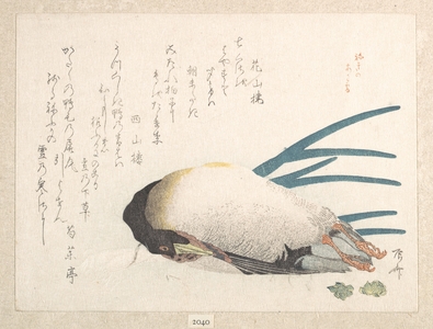 Ryuryukyo Shinsai: Duck and Onion - Metropolitan Museum of Art