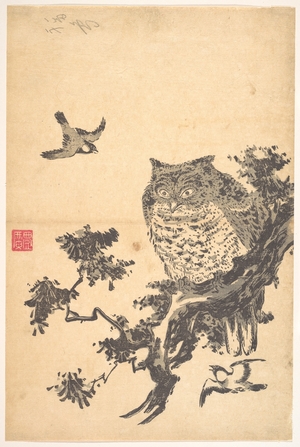 歌川豊広: Owl and Two Swallows - メトロポリタン美術館