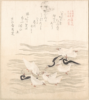 窪俊満: Sea-Gulls Playing on the Water - メトロポリタン美術館