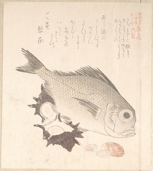 Kubo Shunman: Tai Fish and Top-Shells - Metropolitan Museum of Art