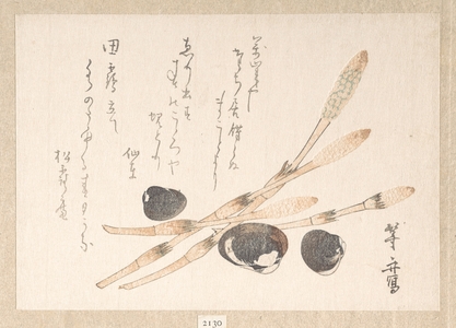 Uematsu Tôshû: Tsukushi Plant and Shijimi Shells - メトロポリタン美術館