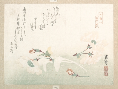 Yosai: Cherry Flowers - Metropolitan Museum of Art