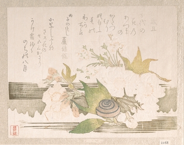 Unknown: Cherry Blossoms and a Snail - Metropolitan Museum of Art