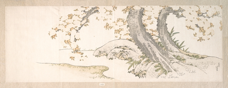 Katsushika Hokusai: Blossoming Cherry Trees by a Stream - Metropolitan Museum of Art