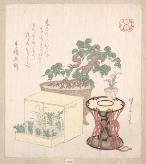 Japanese Print "Potted Pine Tree Drum and Seven Herbs Planted in a Box" by Sunayama Gosei (Japanese, 18th–19th century)