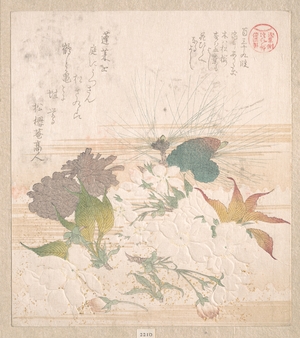 Kubo Shunman: Cherry Blossoms and Pine Cones - Metropolitan Museum of Art