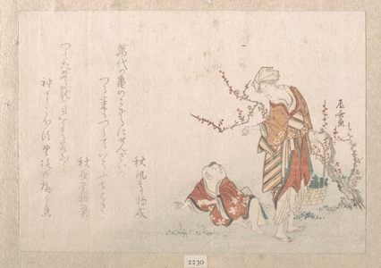 柳々居辰斎: Woman and Boy Gathering Herbs by a Plum Tree - メトロポリタン美術館