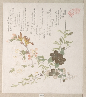 窪俊満: Cherry Blossoms and Yamabuki Flowers - メトロポリタン美術館