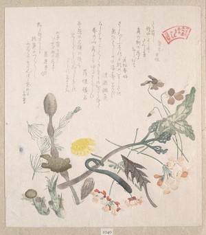 窪俊満: Violets, Primroses and Other Spring Flowers - メトロポリタン美術館
