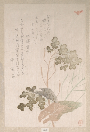 Unknown: Natane Flower - Metropolitan Museum of Art