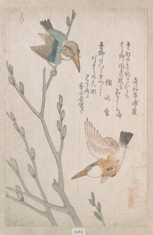 Kubo Shunman: Kingfishers and Pussy-willow - Metropolitan Museum of Art
