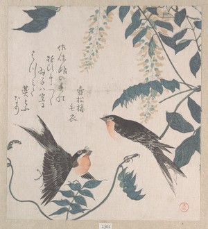 Kubo Shunman: Swallows and Wisteria - Metropolitan Museum of Art