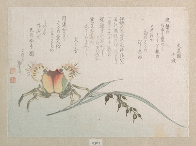 Katsushika Hokusai: Crab and Rice Plant - Metropolitan Museum of Art
