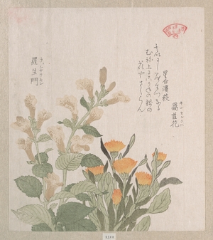 Kubo Shunman: The Common Marigold and The Rajoman Flowers - Metropolitan Museum of Art