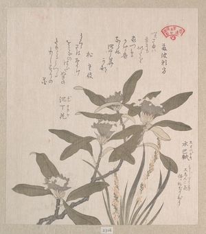 Kubo Shunman: Daphne odora and Mojisuri-so - Metropolitan Museum of Art