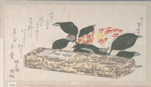 柳々居辰斎: Camelia Flower and Yokan (a sort of bean jelly) Wrapped in Bamboo Skin - メトロポリタン美術館