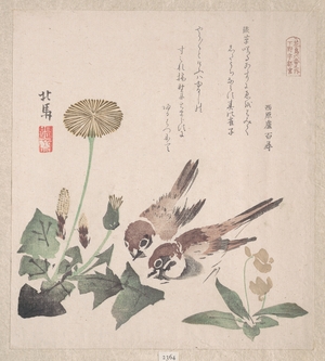 蹄斎北馬: Sparrows and Dandelion - メトロポリタン美術館