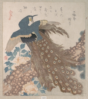 Totoya Hokkei: Peacock on the Pine Tree; Peonies - Metropolitan Museum of Art