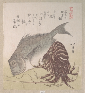 魚屋北渓: Tai Fish and Lobster; Specialities of Yanagiya in Odawara-cho - メトロポリタン美術館