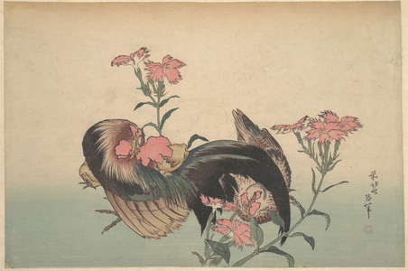 葛飾北斎: Cock, Hen, and Nadeshiko (Dianthus Superbus) - メトロポリタン美術館