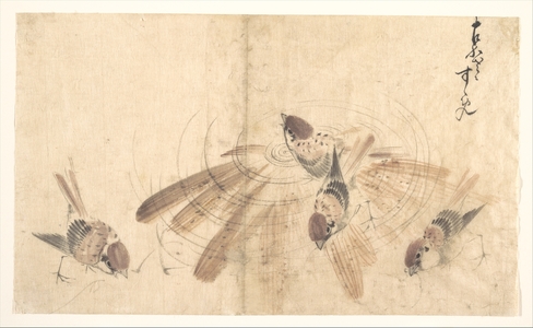 Katsushika Hokusai: Sparrows - Metropolitan Museum of Art