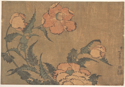Katsushika Hokusai: Poppies in the Wind - Metropolitan Museum of Art