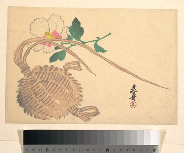 Shibata Zeshin: Straw Basket for Fish (?) and Mokuge Flower - Metropolitan Museum of Art