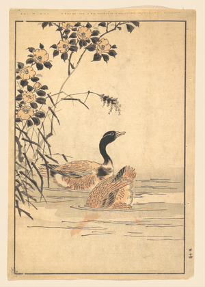 無款: A Pair of Geese with Camellias - メトロポリタン美術館