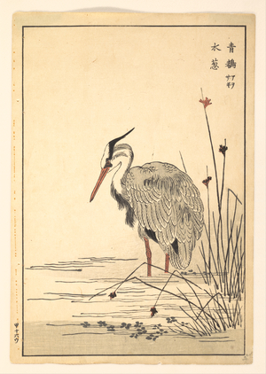 無款: Gray Heron (Aosagi) and Mizu-aoi Plant - メトロポリタン美術館