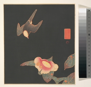伊藤若冲: Swallow and Camellia - メトロポリタン美術館