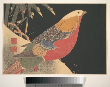 伊藤若冲: Golden Pheasant in the Snow - メトロポリタン美術館