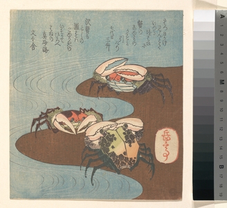 Yashima Gakutei: Crabs Near the Water's Edge - Metropolitan Museum of Art