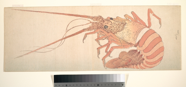 Katsushika Hokusai: Large Lobster - Metropolitan Museum of Art