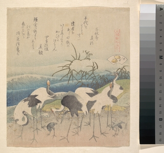 Katsushika Hokusai: Ashi Clam, from the series 