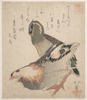 Totoya Hokkei: Two Birds - Metropolitan Museum of Art