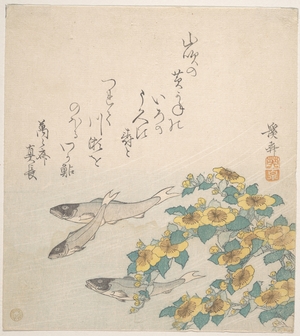 Keisai Eisen: Fishes Swimming with Yellow Flowers - Metropolitan Museum of Art