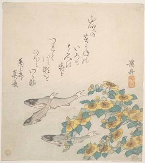 渓斉英泉: Fishes Swimming with Yellow Flowers - メトロポリタン美術館