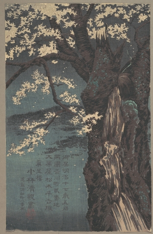 Kobayashi Kiyochika: Cherry Tree - Metropolitan Museum of Art