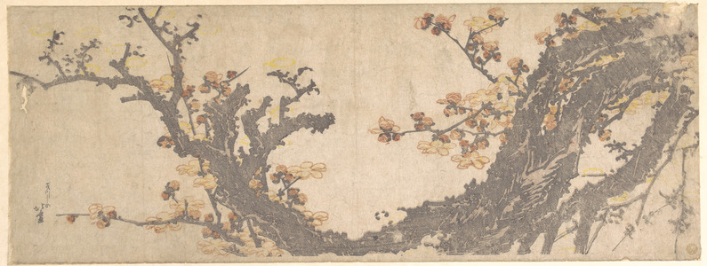 Katsushika Hokusai: Ancient Plum Tree in Bloom - Metropolitan Museum of Art