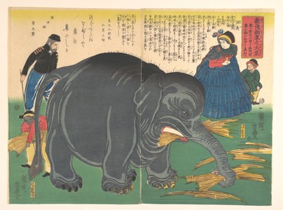 Utagawa Yoshitoyo: Newly Imported Great Elephant - Metropolitan Museum of Art