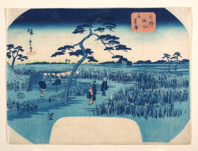 二歌川広重: View of Iris Gardens at Horikiri - メトロポリタン美術館