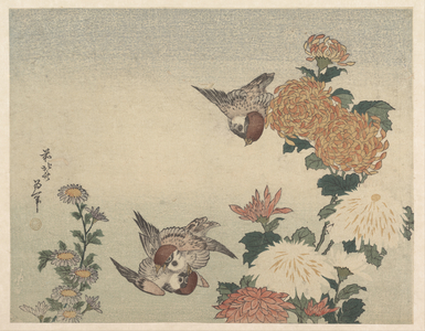 Katsushika Hokusai: Sparrows and Chrysanthemums - Metropolitan Museum of Art