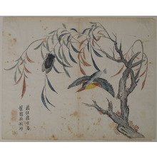 無款: Kingfisher, Cicada, and Willow Tree - メトロポリタン美術館