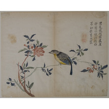 Unknown: Bird on a Flowering Branch - Metropolitan Museum of Art