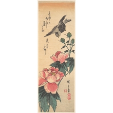 Utagawa Hiroshige: Sparrow and Hibiscus - Metropolitan Museum of Art